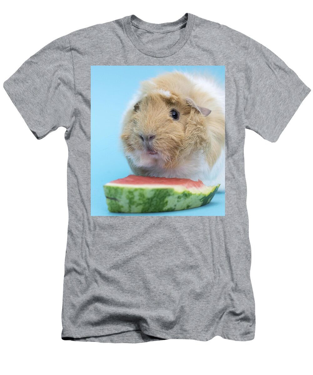 Little Guinea Pig Eating a Watermelon Les Classics T-Shirt