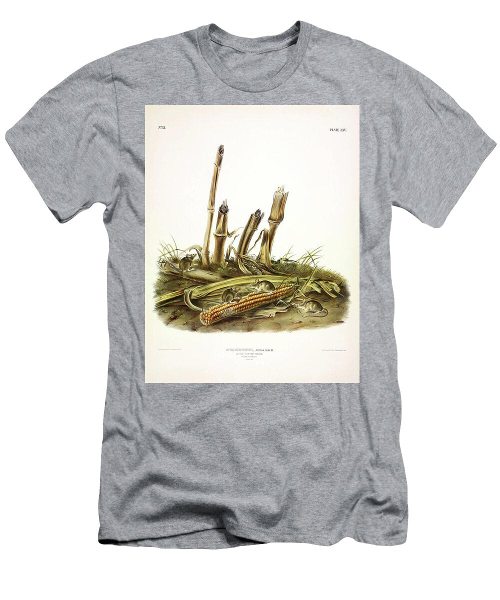 Little Harvest Mouse John James Audubon T-Shirt