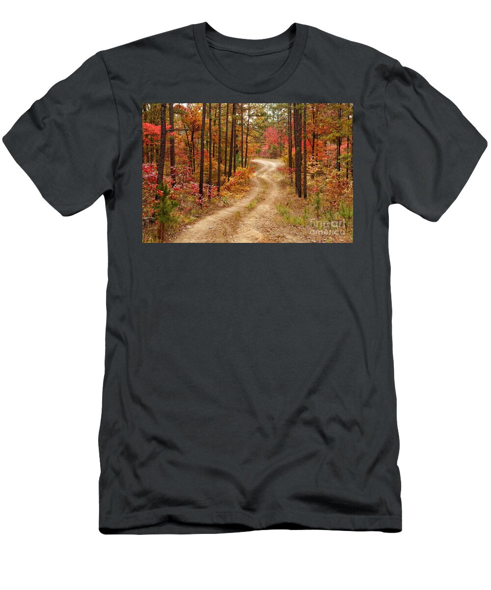 Logging Road in the Ouachita National Forest Beavers Bend State Park Poteau Oklahoma Arkansas Silvio Ligutti T-Shirt