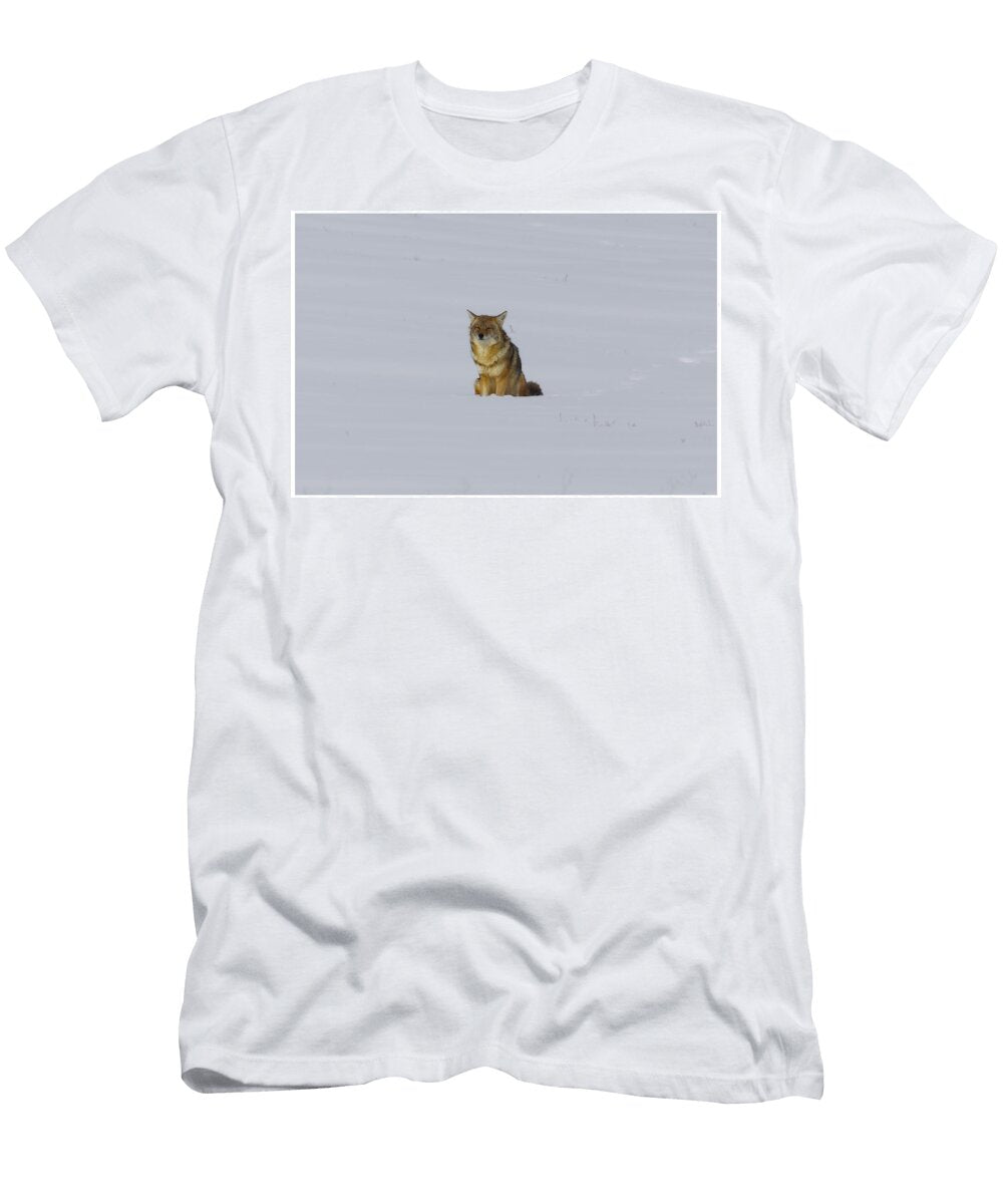 Lone Coyote in Snowy Field Chris Van Hoose T-Shirt