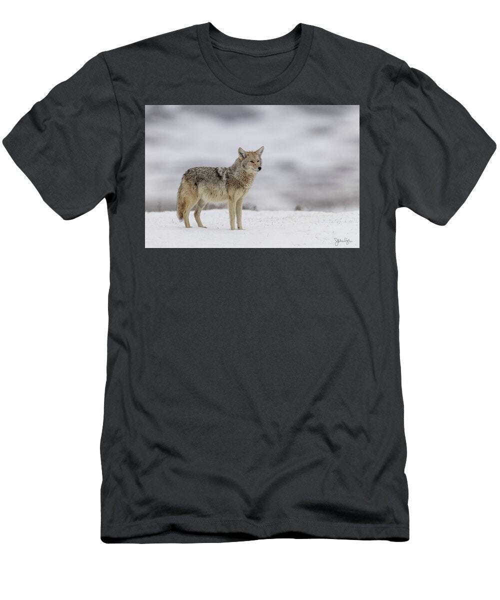 Lone Coyote on a Snowy Field Julie Argyle T-Shirt