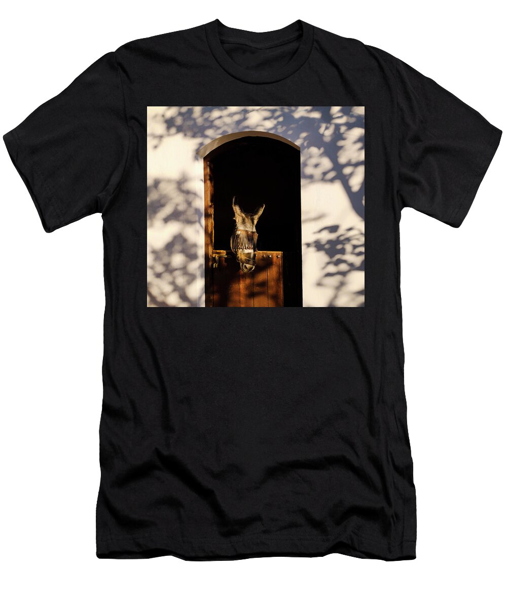 Lone Donkey in His Stable Malaga Province Andalucia Spain Panoramic Images T-Shirt