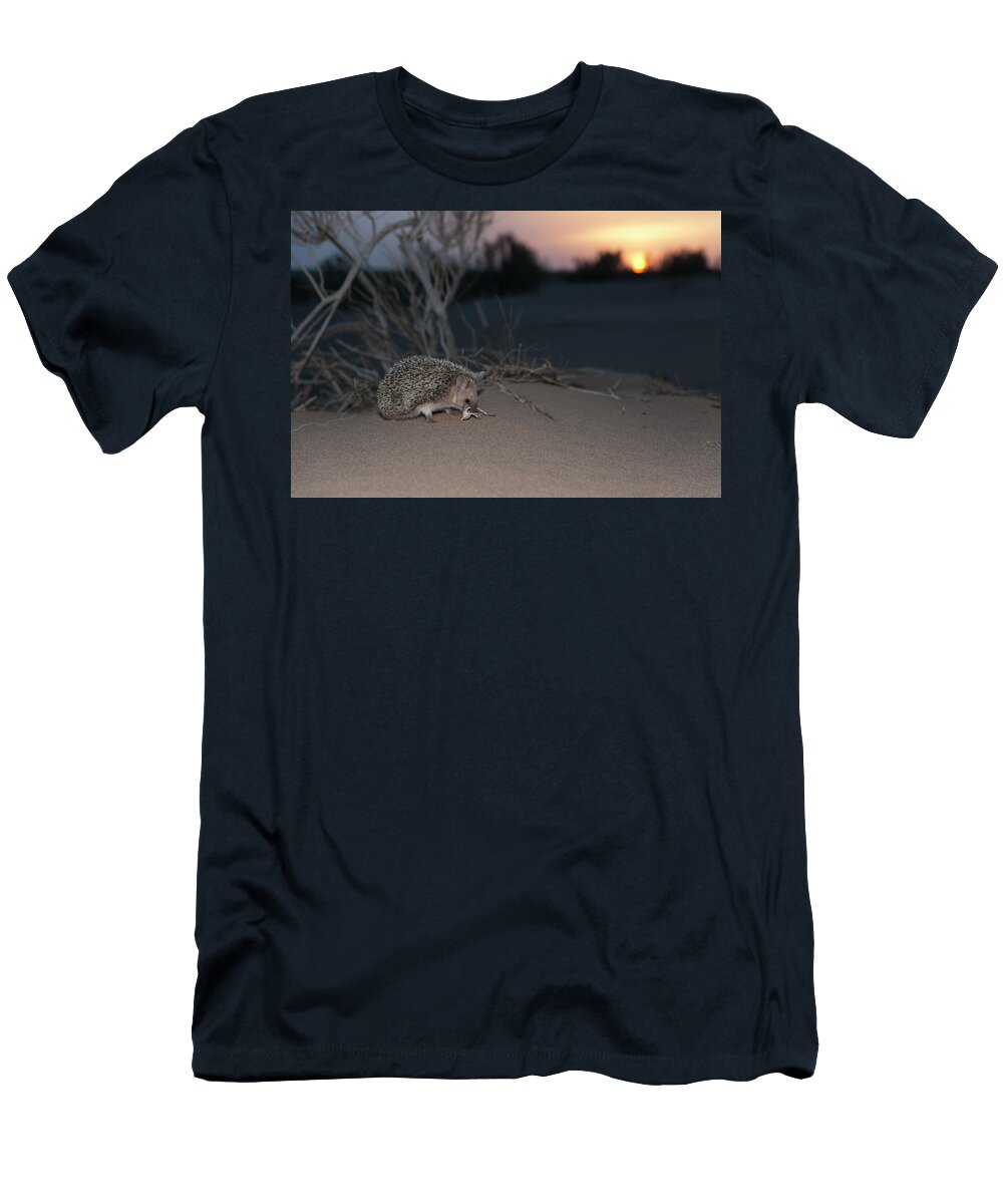 Long Eared Hedgehog At Sunset Gobi Desert Mongolia Valeriy Maleev Natureplcom T-Shirt
