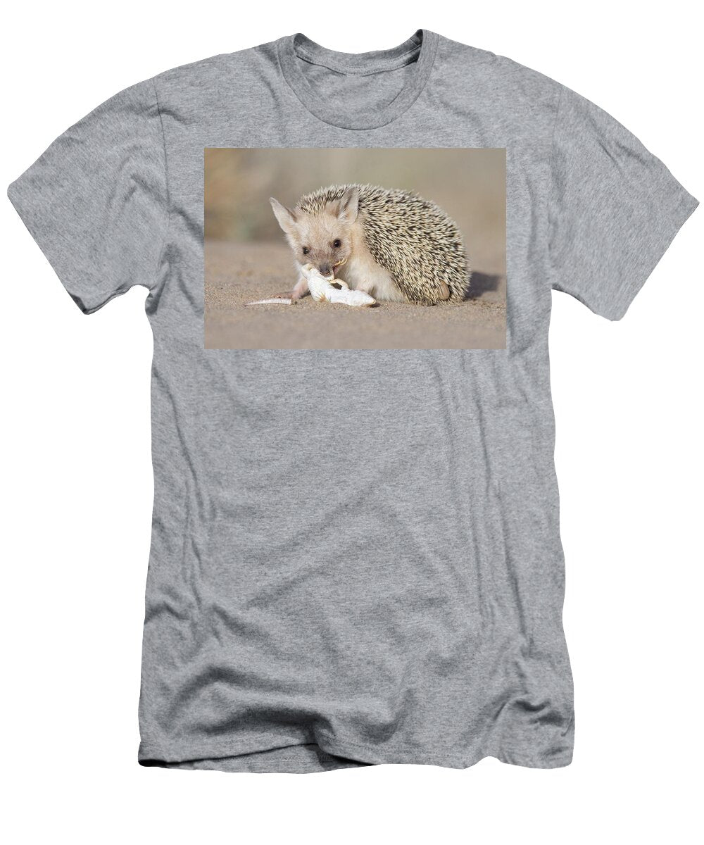 Long Eared Hedgehog Feeding on Lizard Prey Gobi Desert Valeriy Maleev Natureplcom T-Shirt