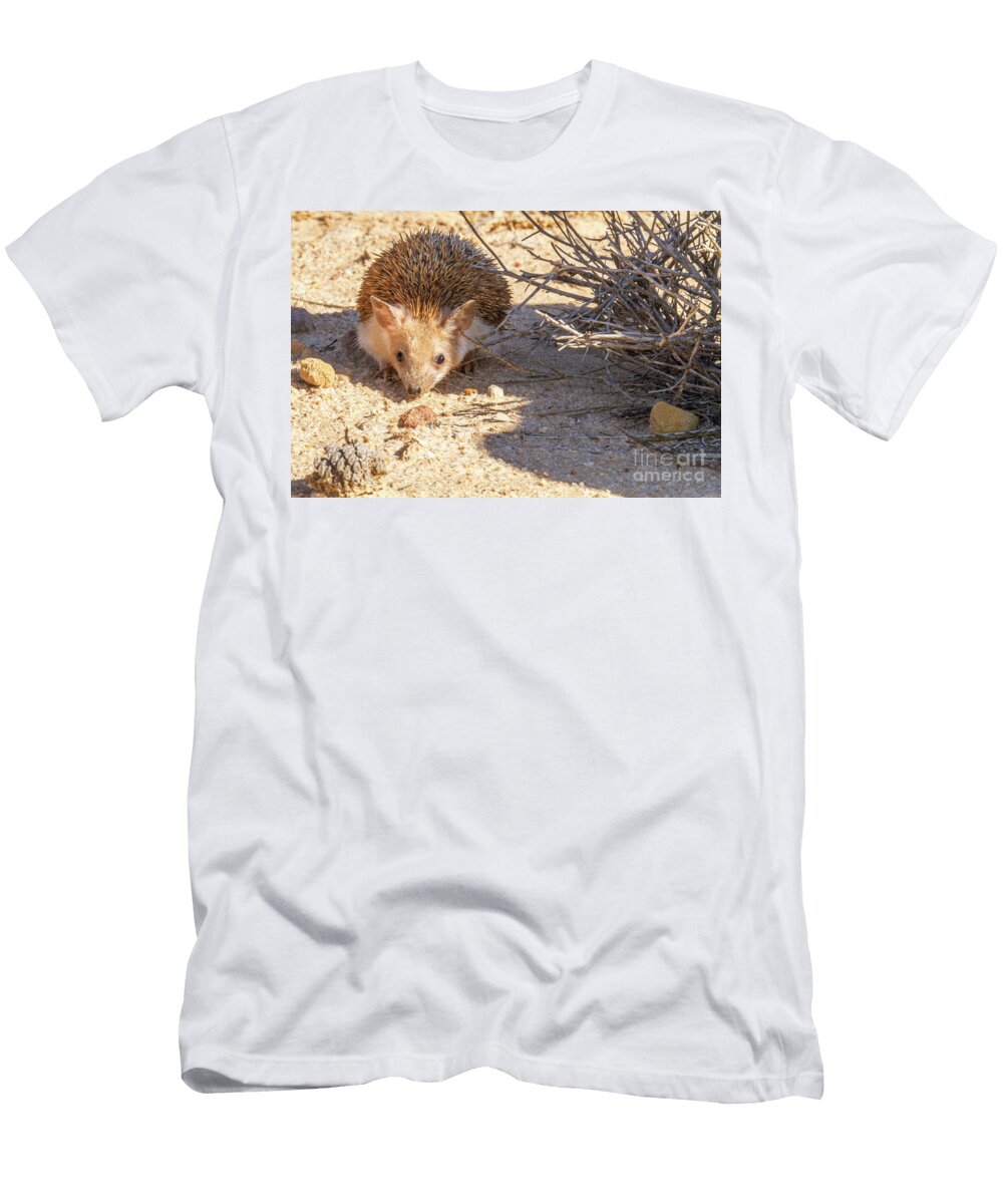 Long Eared Hedgehog Hemiechinus Auritus M2 Eyal Bartov T-Shirt