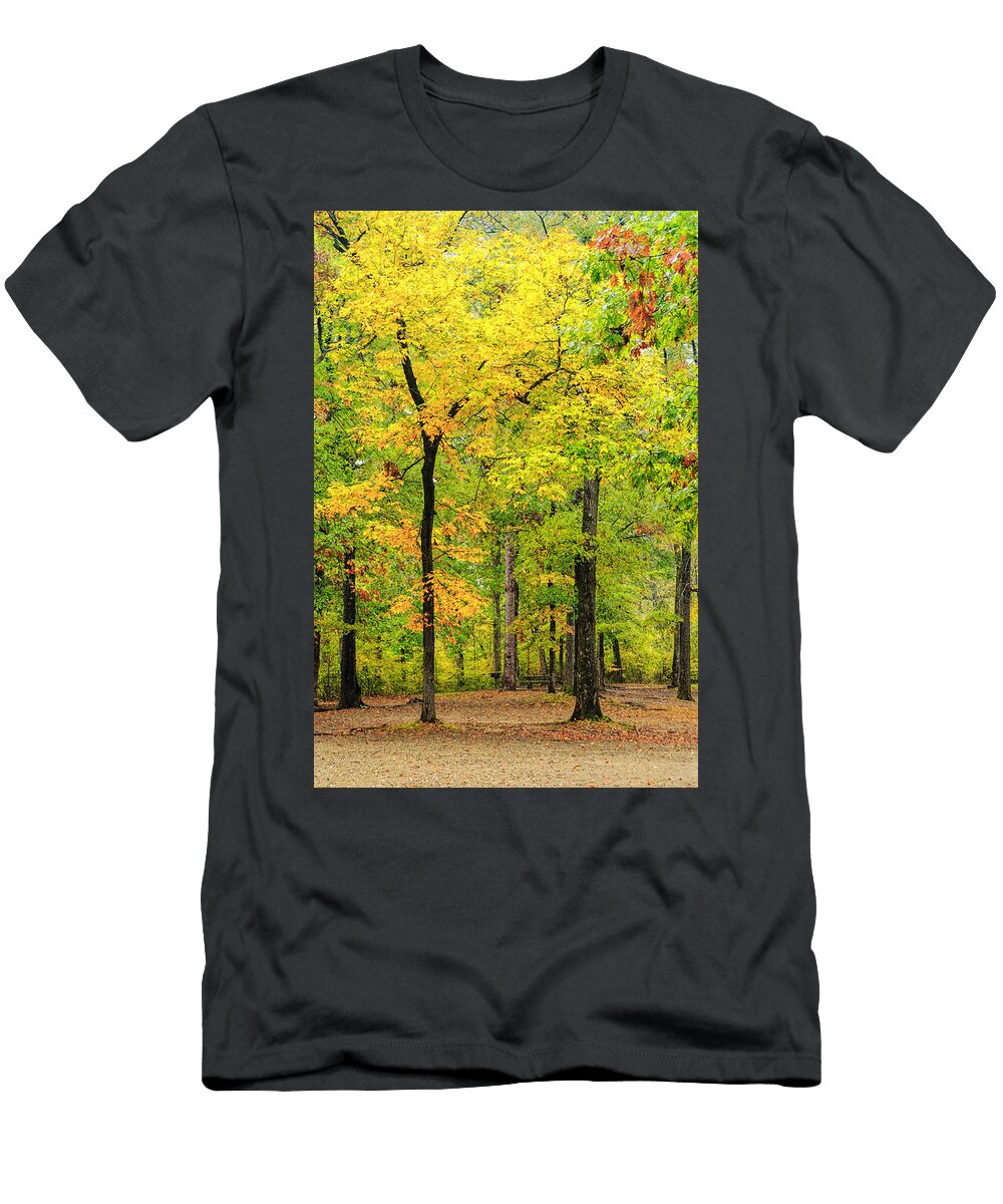 Look How They Shine for You Silvio Ligutti T-Shirt