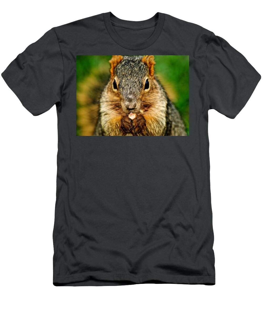 Look Into the Camera Robert Harmon T-Shirt