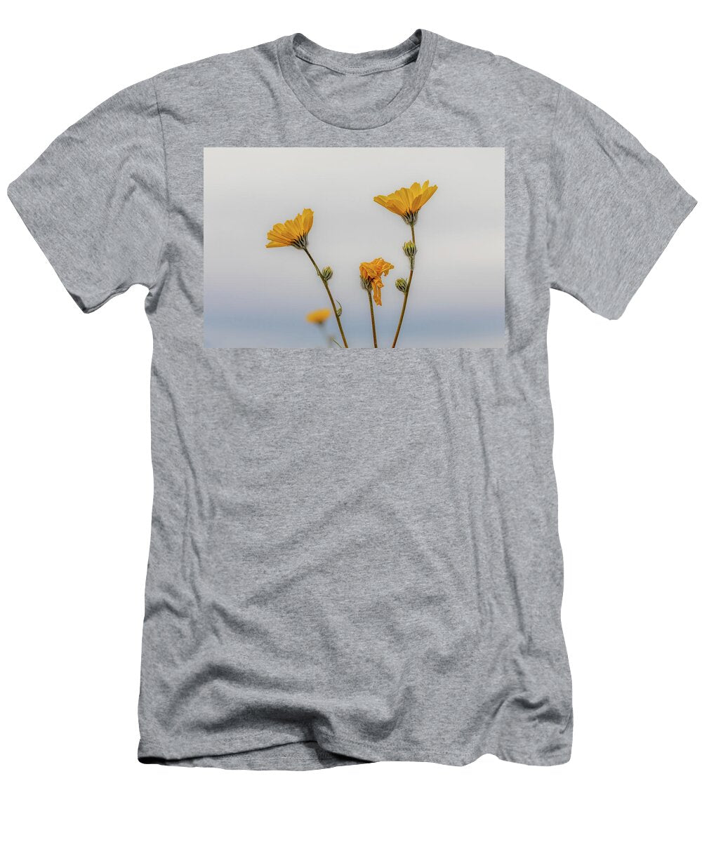 Look to the Sky Peter Tellone T-Shirt