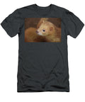 Looking Directly Into the Face of a Cinnamon Ferret Dejavu Designs T-Shirt