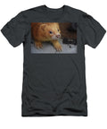 Looking Into the Face of a Cinnamon Ferret Dejavu Designs T-Shirt