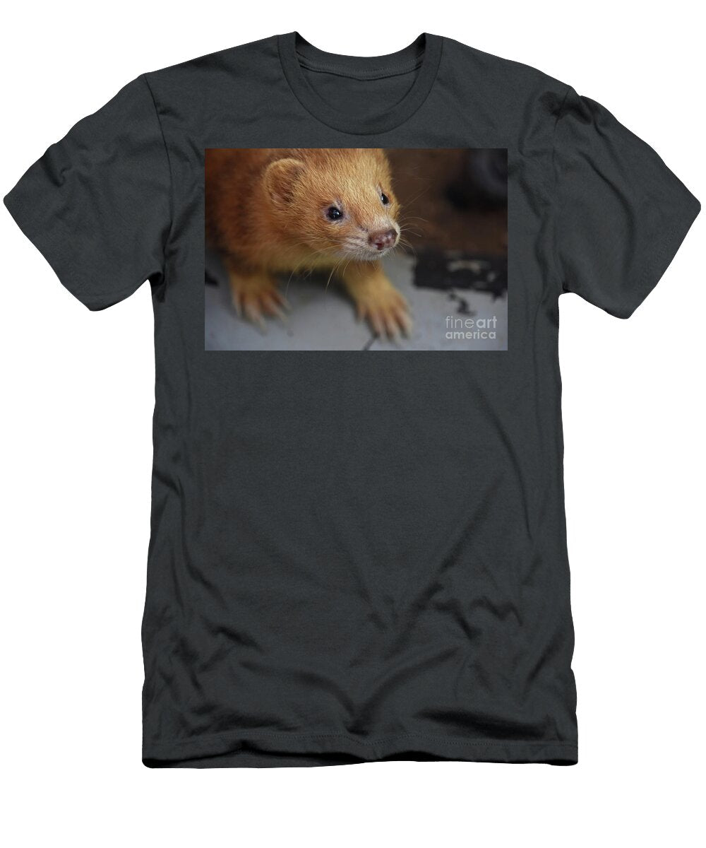 Looking Into the Face of a Cinnamon Ferret Dejavu Designs T-Shirt