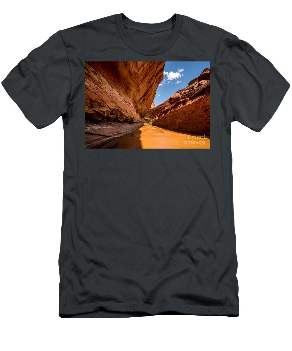 Lower Coyote Gulch Utah Gary Whitton T-Shirt
