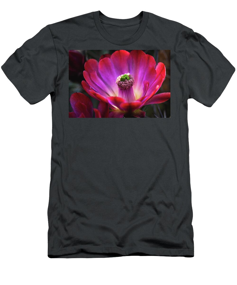Luscious Red Saija Lehtonen T-Shirt