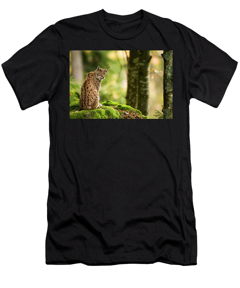 Lynx in Bavarian Forest Loulou Beavers T-Shirt