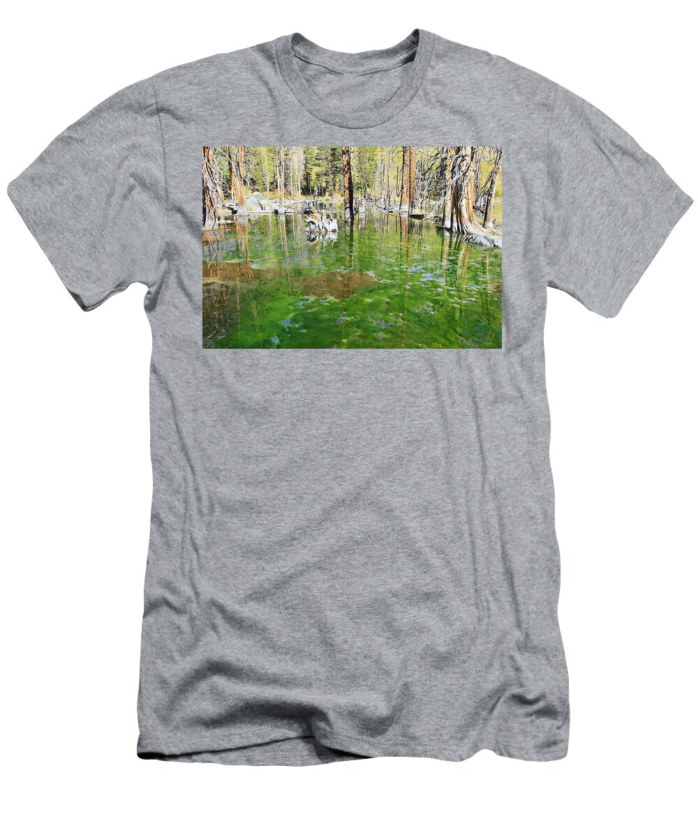 Magical Beaver Pond Sean Sarsfield T-Shirt