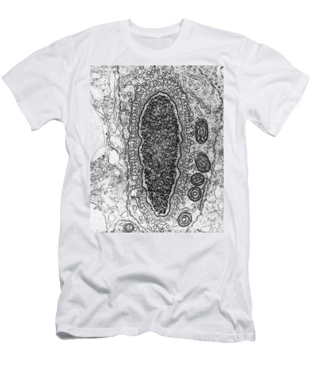Manchette in Hamster Spermatid Tem David M Phillips T-Shirt