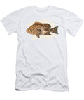 Marbled Grouper Dawn Witherington T-Shirt
