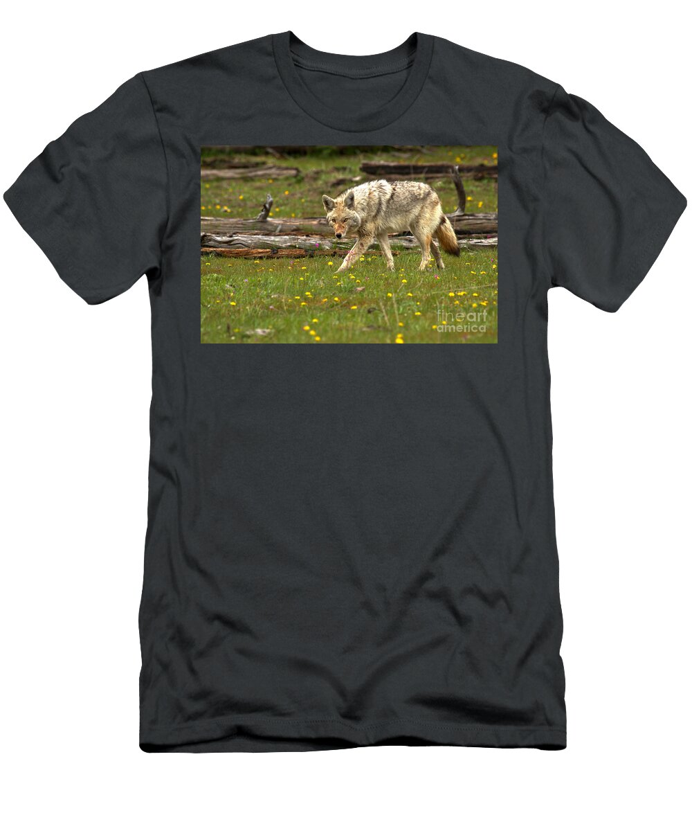 Marching Among the Dandelions Adam Jewell T-Shirt