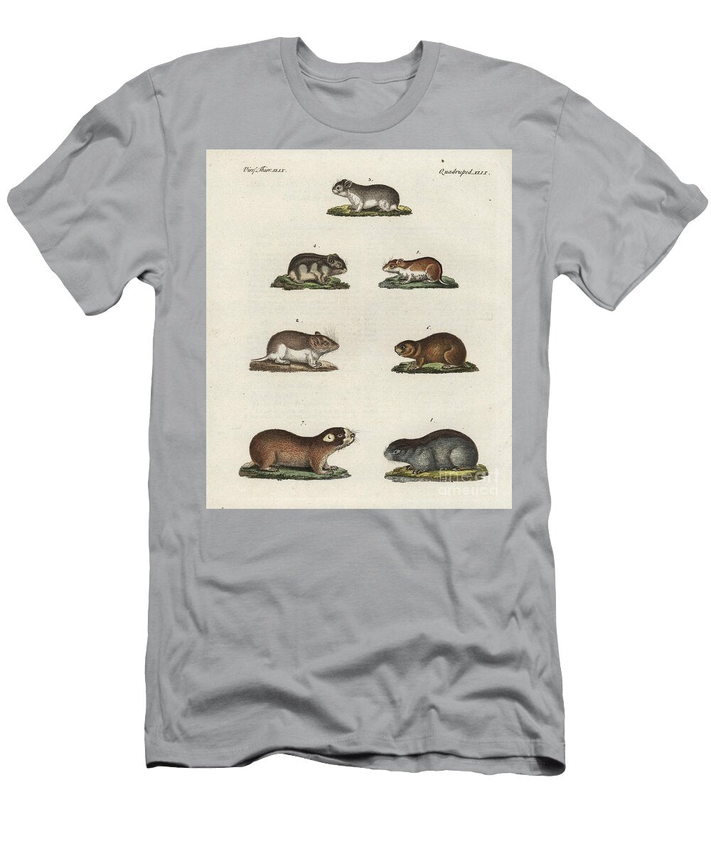 Meadow Jumping Mouse European School T-Shirt