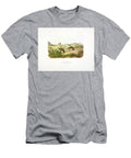 Meadow Mouse John James Audubon T-Shirt