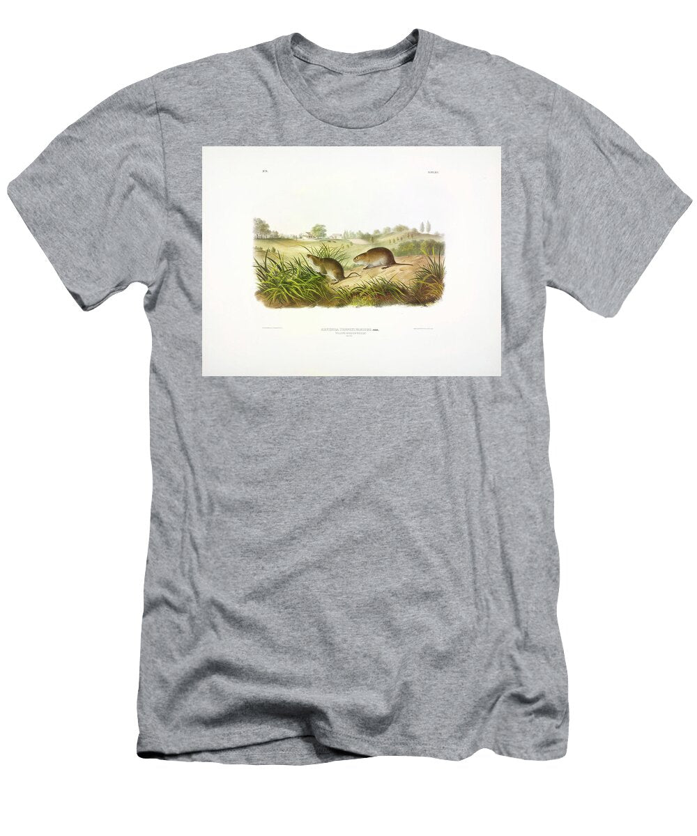 Meadow Mouse John James Audubon T-Shirt