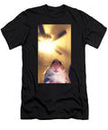 Meme Hamster Staring Front Camera 1 T-Shirt