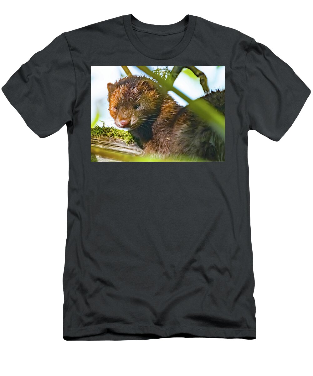 Mink in Oaks Bottom Jonathan Swanson T-Shirt