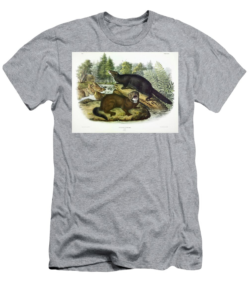 Mink John James Audubon T-Shirt