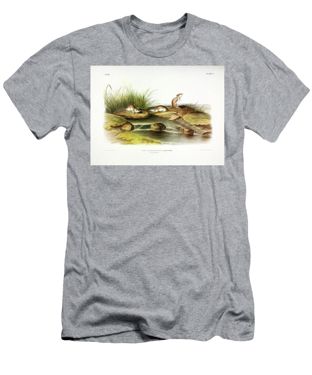 Missouri Mouse John James Audubon T-Shirt