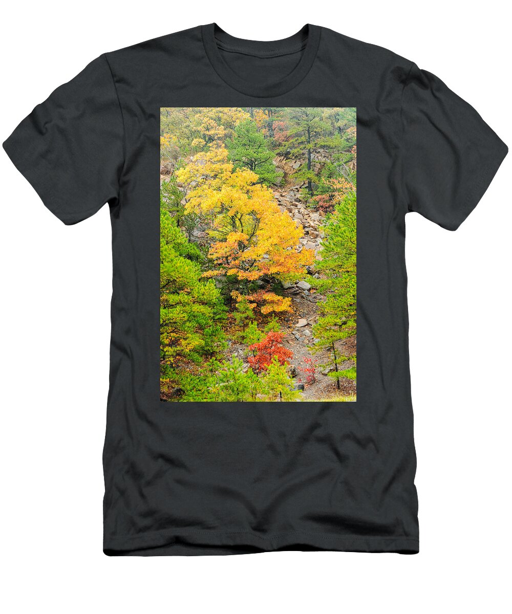 Misty Mountain Tree Silvio Ligutti T-Shirt