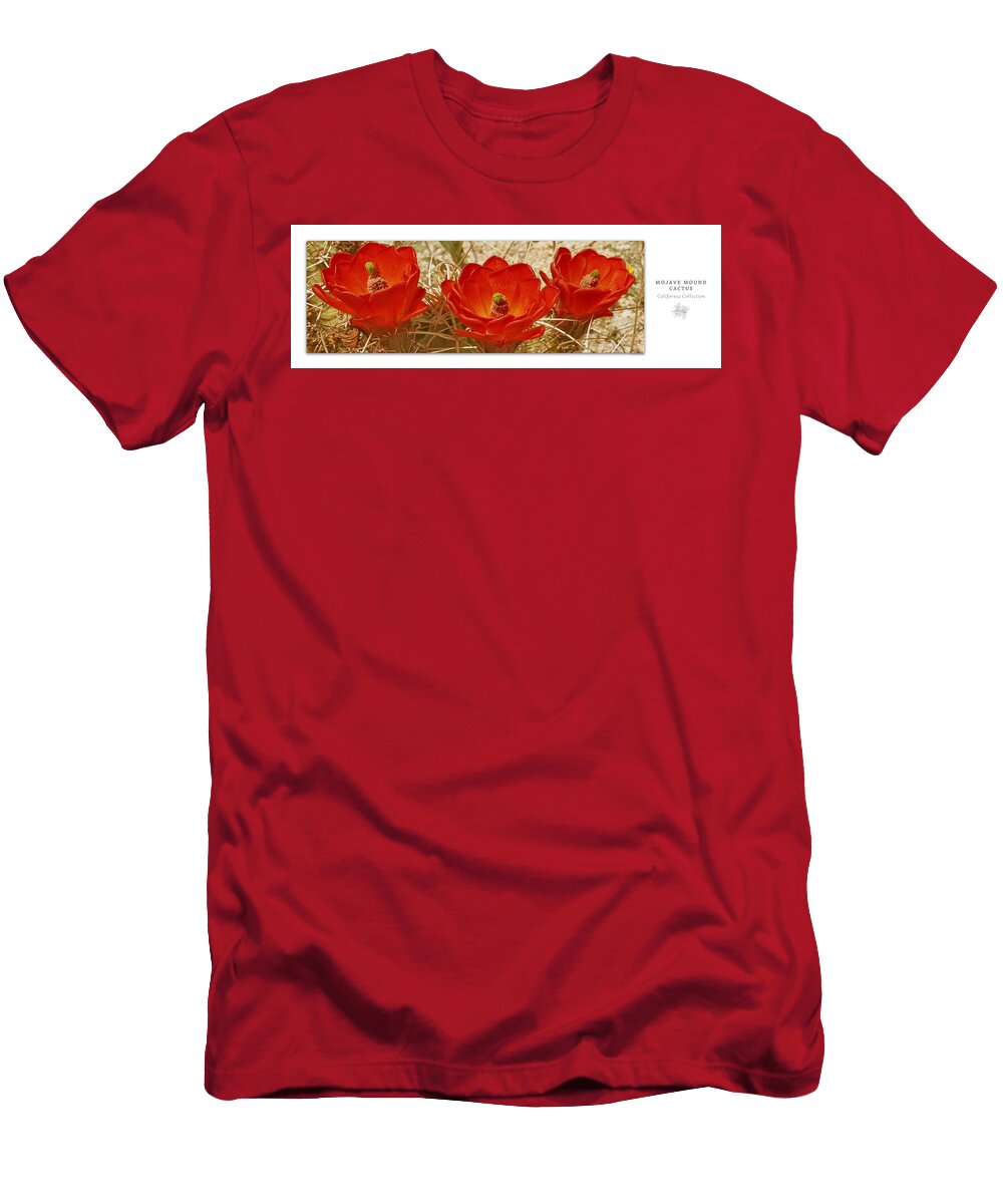 Mojave Mound Cactus Art Poster California Collection Ben and Raisa Gertsberg T-Shirt
