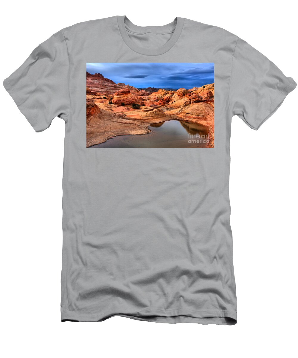 Monsoon Desert Pool Adam Jewell T-Shirt