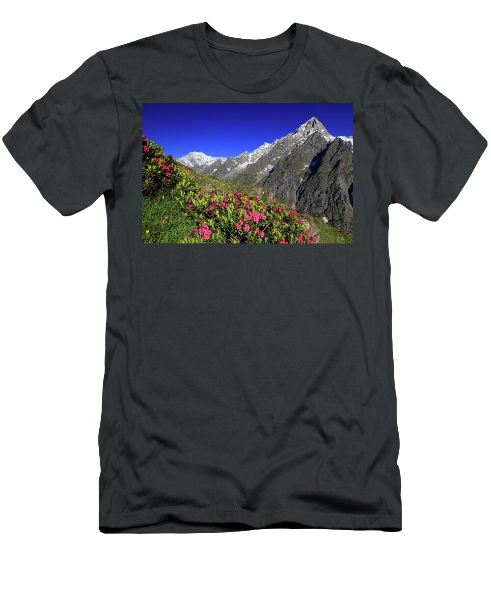 Mont Blanc Flowers Alps Italy Davide Carlo Cenadelli T-Shirt