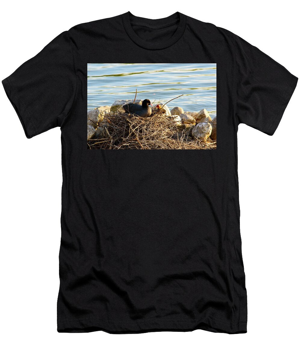 Moorhen Looking After Chicks on the Nest Johan Ferret T-Shirt