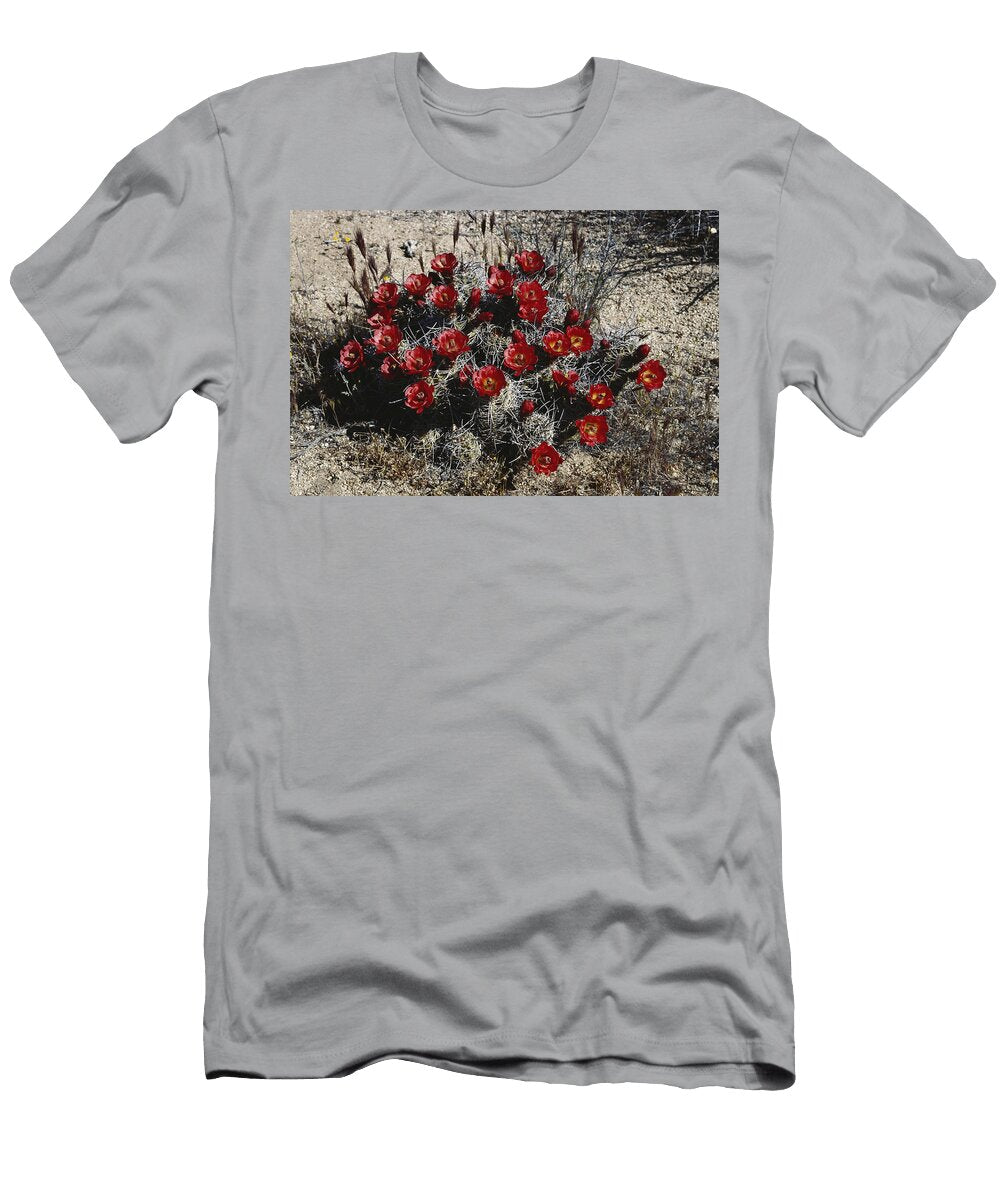 Mound Cactus Karl H Switak T-Shirt