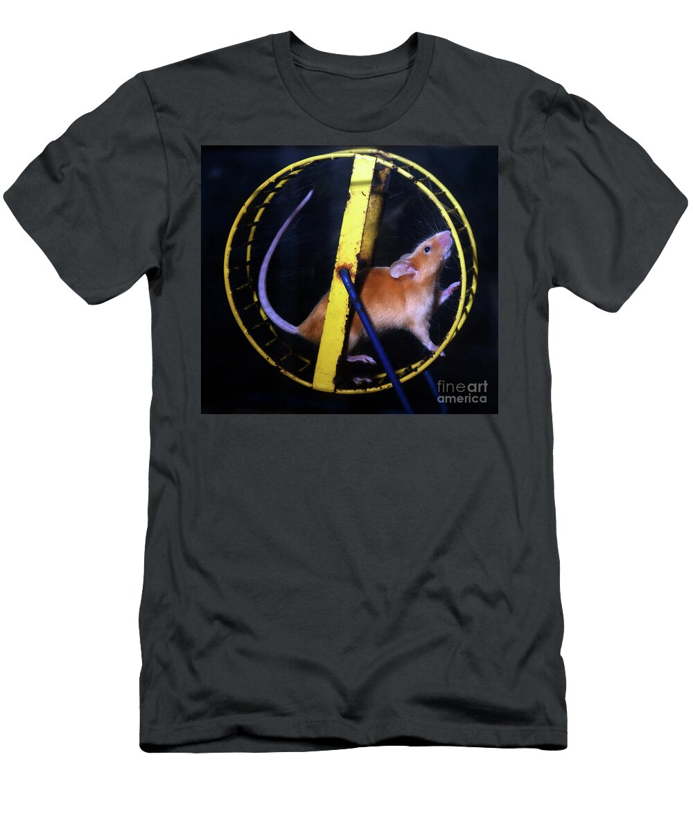 Mouse on a Wheel the Rat Race of Life Wernher Krutein T-Shirt