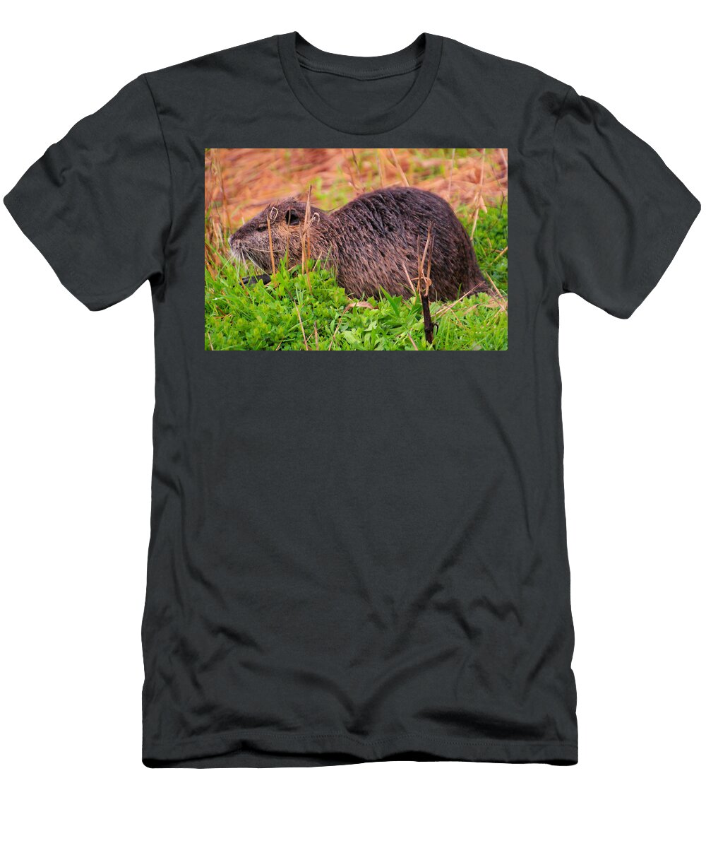 Mr Beaver Hanging Out Jeff Swan T-Shirt
