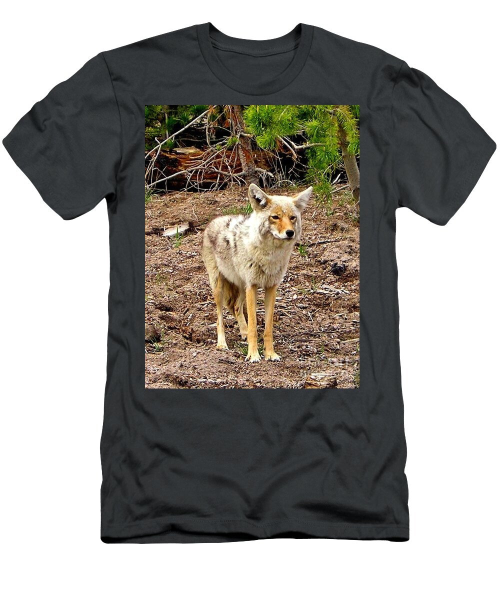 Mr Coyote Ellen Lacey T-Shirt