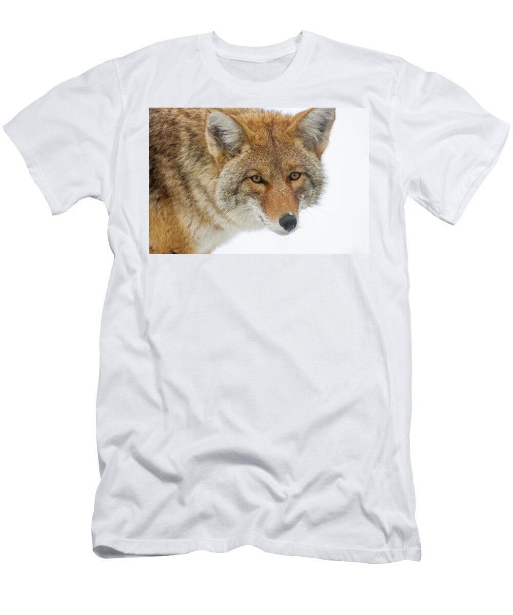 Mr Coyote Mark Miller T-Shirt