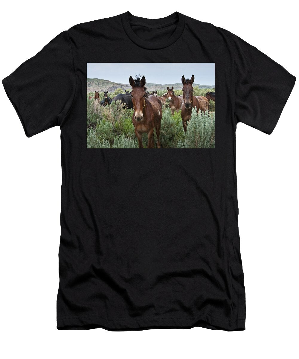 Mules in Wyoming No 1142 Randall Nyhof T-Shirt
