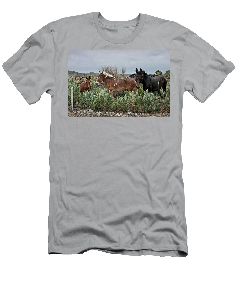 Mules in Wyoming No 1149 Randall Nyhof T-Shirt