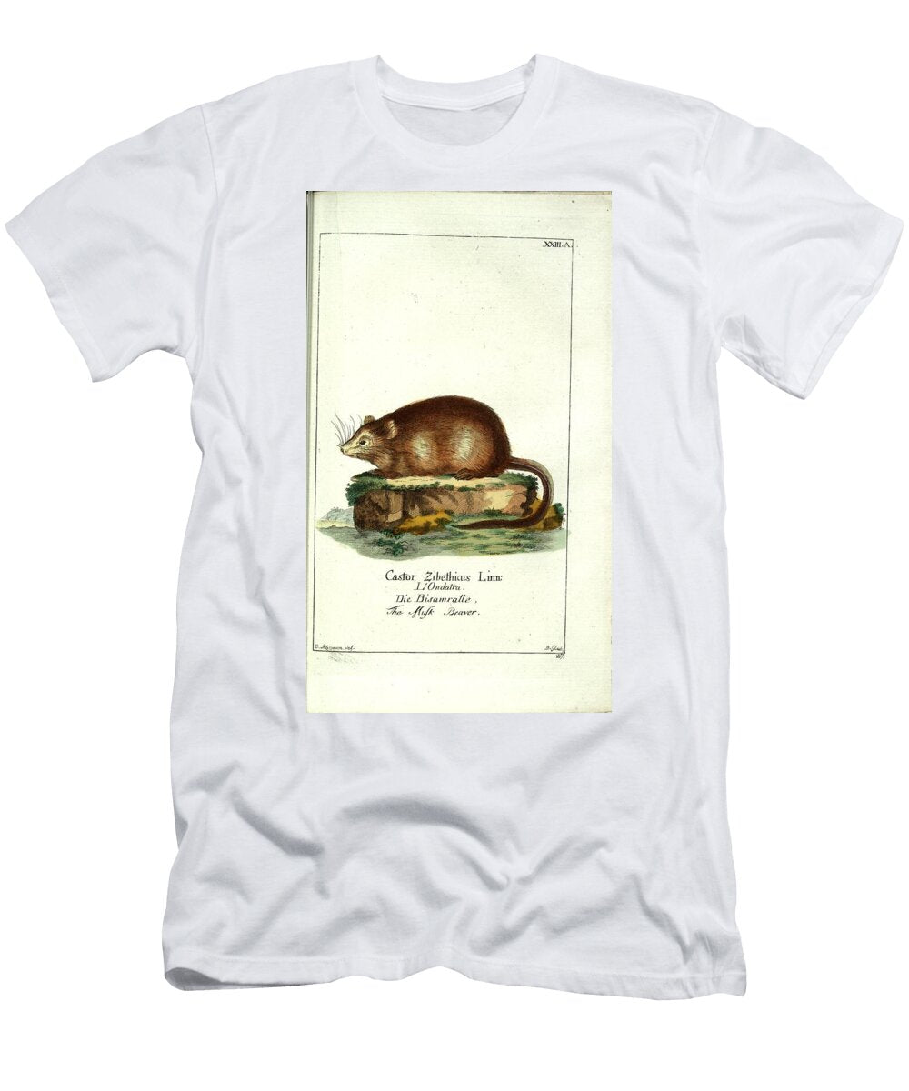 Musk Beaver Vintage Naturalist T-Shirt