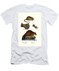 Muskrat 1824 Karl Joseph Brodtmann T-Shirt
