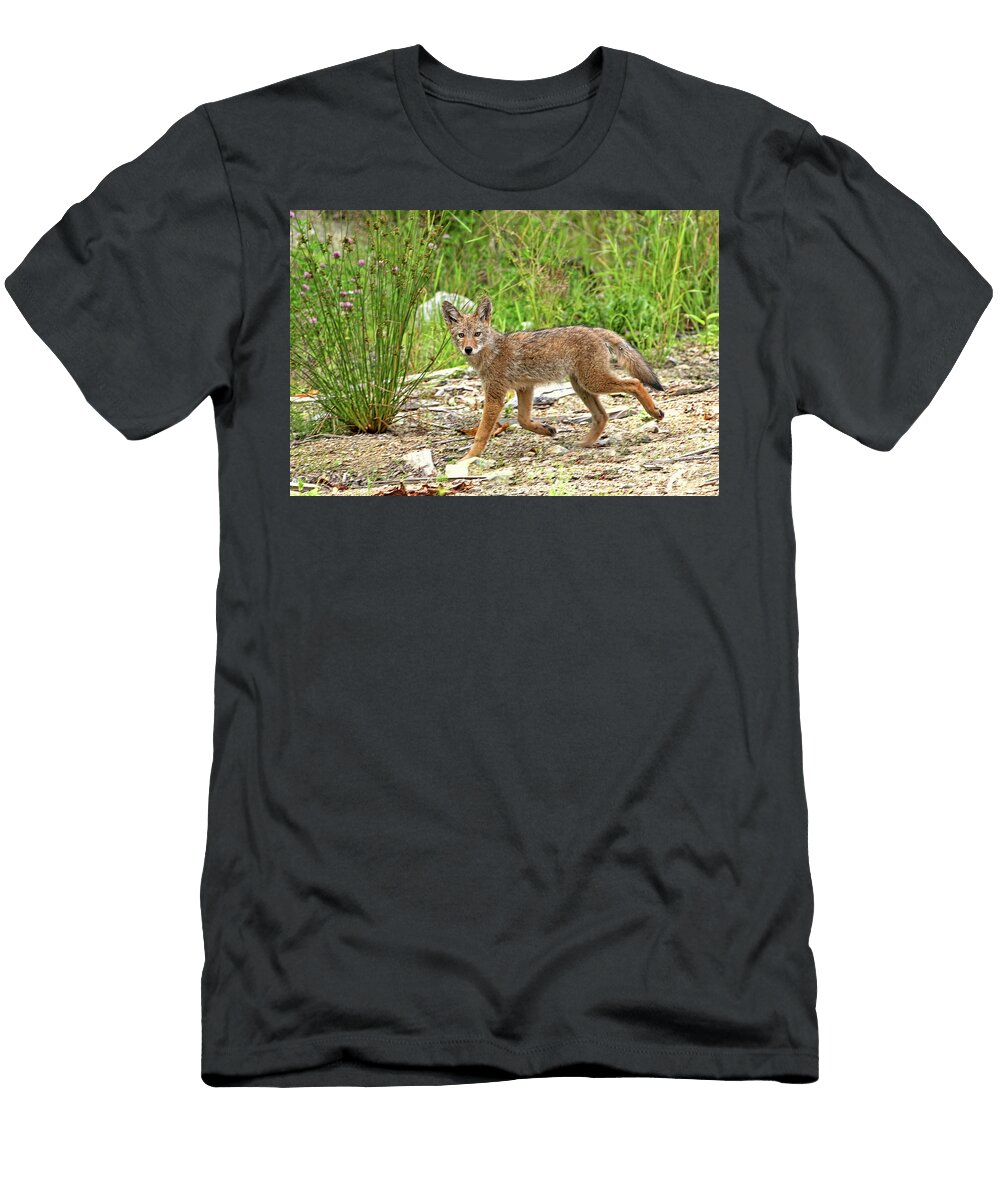 Mystic Coyote Peggy Collins T-Shirt