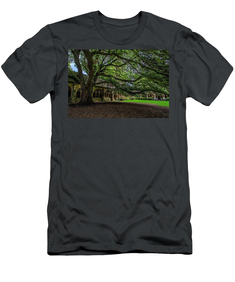 New College Oak and Cloisters Carol Berget T-Shirt