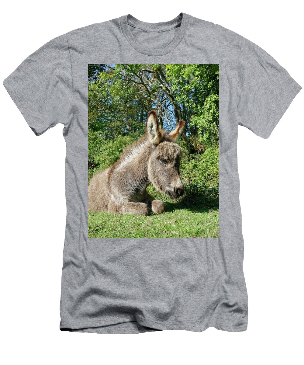 New Forest Donkey Foal Resting At Woodland Edge Nick Upton Natureplcom T-Shirt