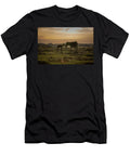New Forest Donkeys Female with Foal Standing on Tj Rich Natureplcom T-Shirt