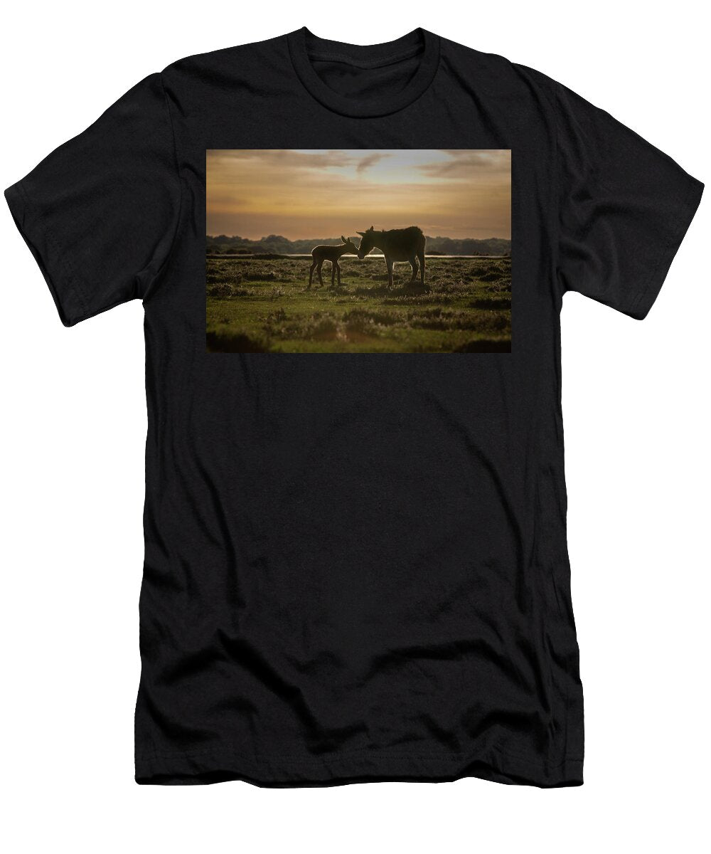 New Forest Donkeys Female with Foal Standing on Tj Rich Natureplcom T-Shirt