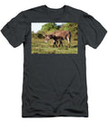 New Forest Donkeys Female with Foal Walking Side By Side Tj Rich Natureplcom T-Shirt