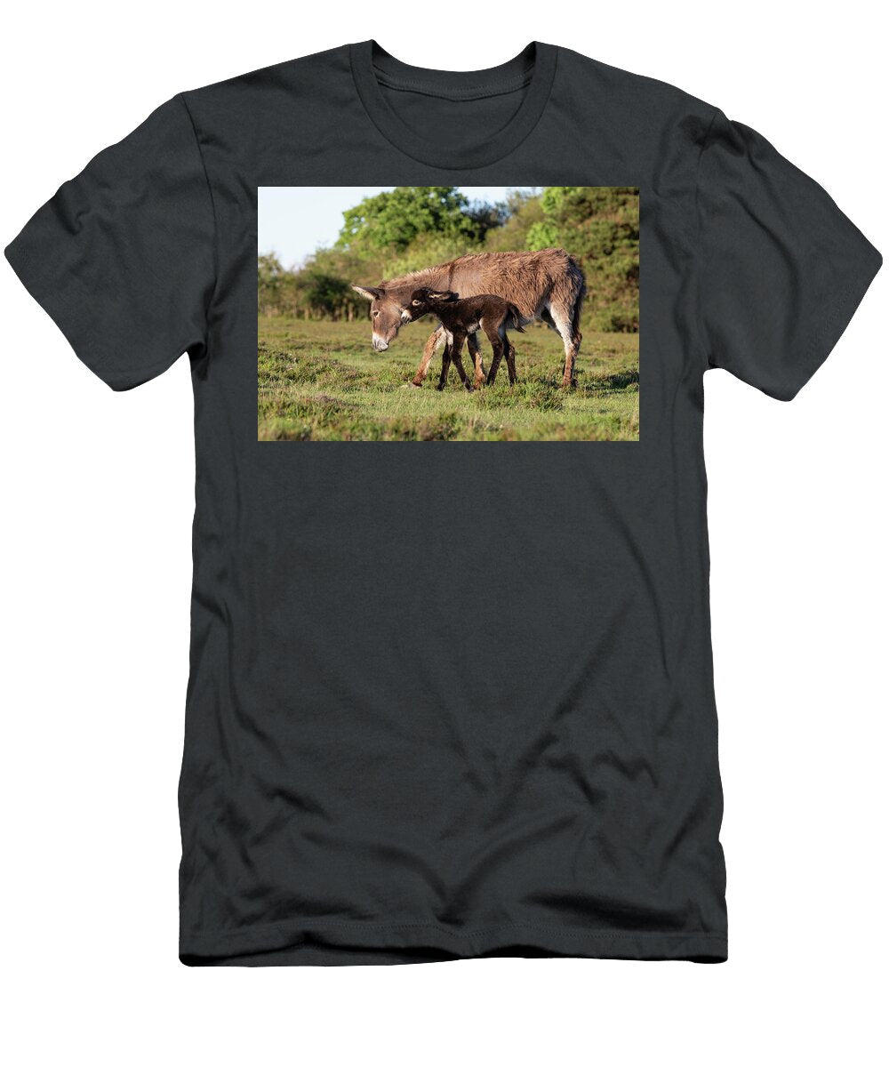 New Forest Donkeys Female with Foal Walking Side By Side Tj Rich Natureplcom T-Shirt
